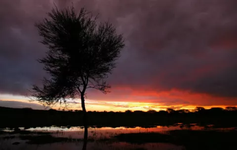 Alerta en el este de África por la falta de lluvias y el aumento del hambre