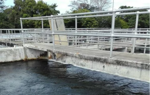 Lluvias afectan planta potabilizadora de Los Algarrobos, en David, varios ríos subieron su nivel 