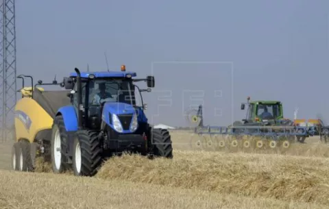 Demanda de alimento crecerá más lentamente la próxima década