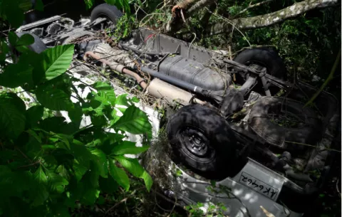Cinco personas heridas, una culebra y dos iguanas muertas al caer busito entre unos árboles