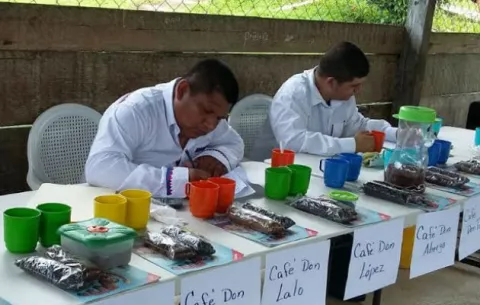Efectúan concurso de catación de café producido en la comarca Ngäbe Buglé 