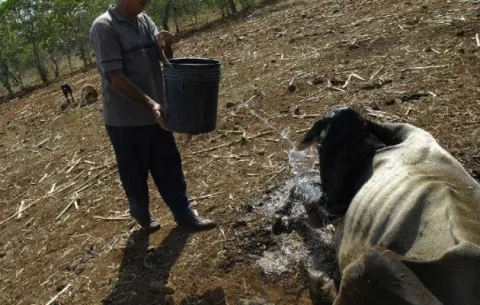 A.Latina debe impulsar alianza público-privada para combatir cambio climático