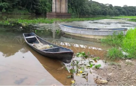 Incertidumbre por desaparición de pescador atacado por cocodrilo