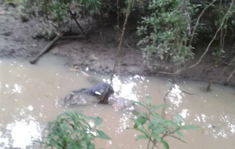 Hallan muerto a Máximo con soga en el cuello