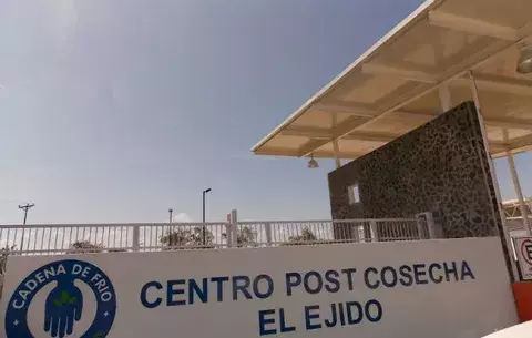 Encapuchados amarran a seguridad y roban en Centro Post Cosecha 