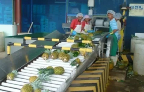 Panamá espera que nueva relación con China impulse sus exportaciones