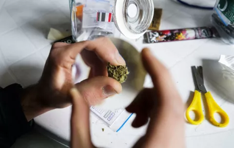 Uruguay comienza a vender marihuana en 16 farmacias 