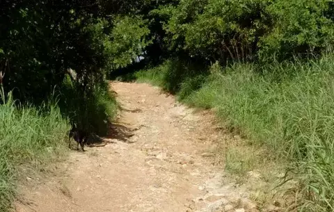 De una puñalada lo mató por 20 dólares 