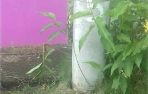 Sin agua potable en Villa Mercedes de David