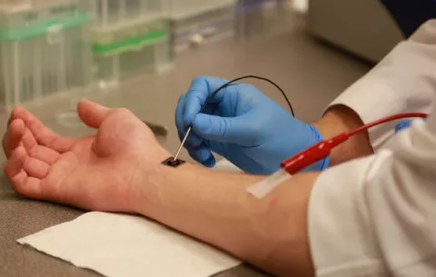 Crean chip regenerativo para reparar vasos sanguíneos y otros órganos