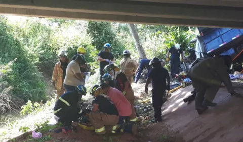 Muere señora al caer camión cargado de ganado bajo un puente