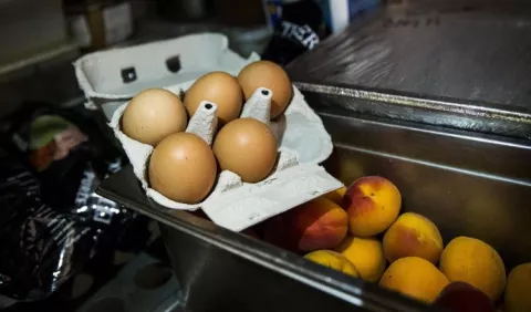 UE: 15 países recibieron huevos  contaminados 