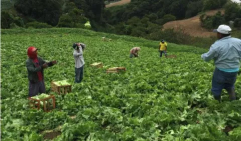 Nuevas normas para transformar sector del agro