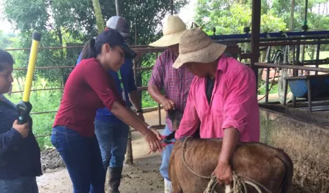 Fincas y bovinos deben estar trazados en 2019