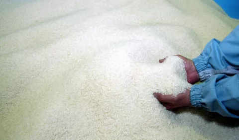 Cuestionan calidad de arroz que vende el IMA