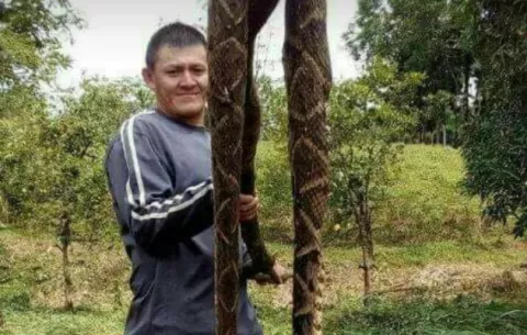 Serpientes atemorizan a residentes en Potrerillos