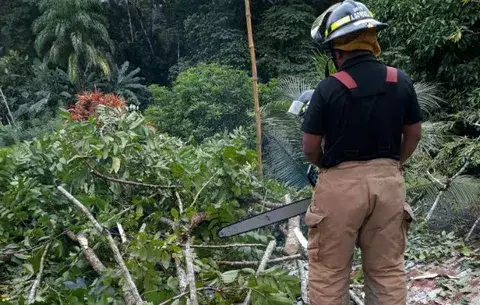 Árbol cae en una vivienda de Bocas del Toro