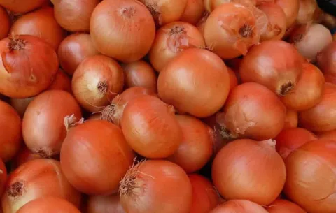Cebolla nacional e importada, con nuevas normas de calidad para su venta
