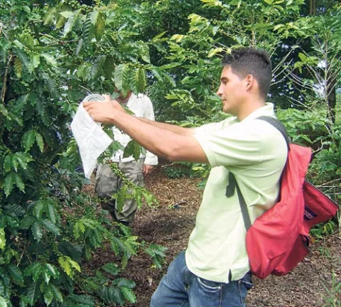 Casi 170 empresas participan en rueda de negocios en Chiriquí