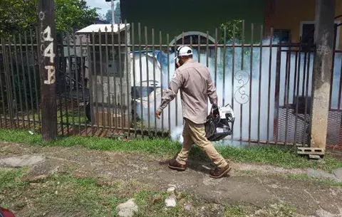 Se reportan más de 200 casos de dengue en Coclé 