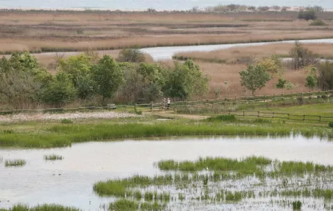 ¿Es la pérdida de la biodiversidad más importante que el cambio climático?