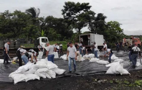 Incineran varios sacos con droga incautada en operativos
