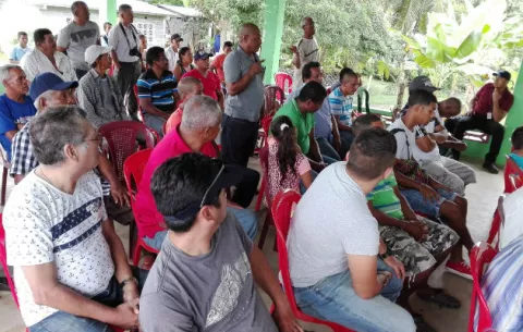 Temor por sobrepoblación de lagartos en el Lago Gatún