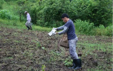 Realizan gira en Tonosí para monitorear la presencia de roedores