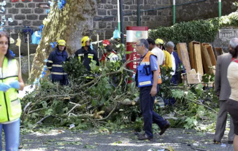 Doce muertos y 50 heridos tras caer un árbol durante una procesión en Madeira