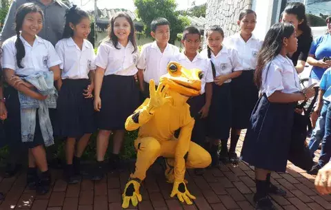 Celebran Día de la rana dorada en El Valle de Antón 