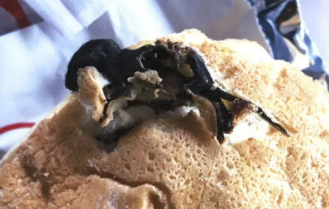 Mujer demanda a restaurante por hallar un ratón muerto en su sándwich