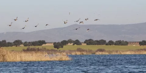 La humanidad agota mañana el "presupuesto ecológico anual" de la Tierra
