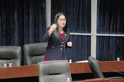 'Operación El Gallero es una cortina de humo para tapar el caso Odebrecht'