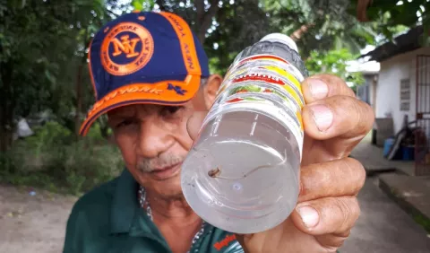 Agua del grifo con lombrices sale en Antón