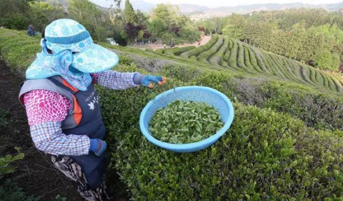Compras públicas para  agricultores