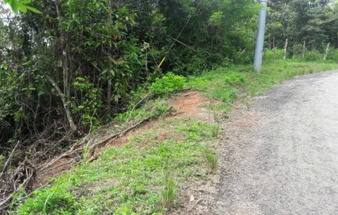 Moradores de Alto de Divisa exigen mejoras en vía