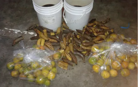 Director de cárcel en Colón discrepa de críticas hechas a la comida por los reos 