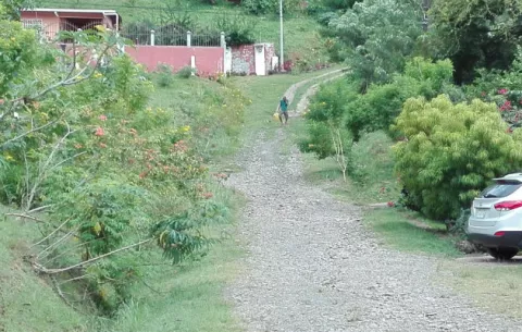 Temen proliferación de casos de dengue en La Chorrera