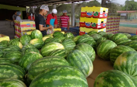 Exportadores panameños inician misión comercial en Perú