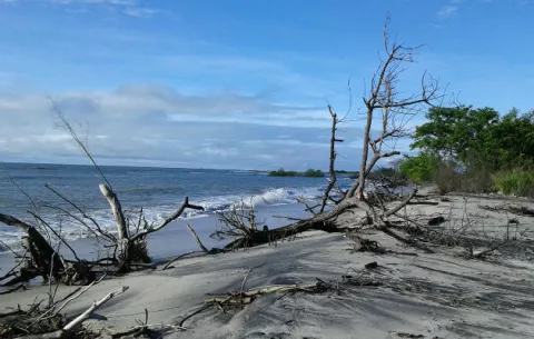 Extracción de arena submarina causa perjuicios a bahía de Chame