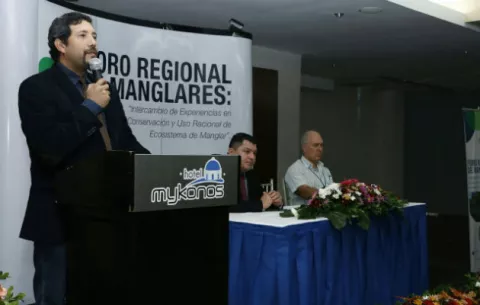 40% de los manglares en Panamá están incluido en sistema de áreas protegidas