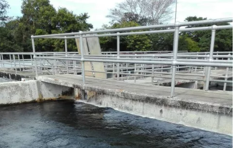 40 mil personas reciben pésimo servicio de agua del Idaan en David 