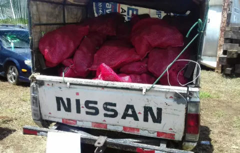 Decomisan joyas de plata y ñame de contrabando en Chiriquí