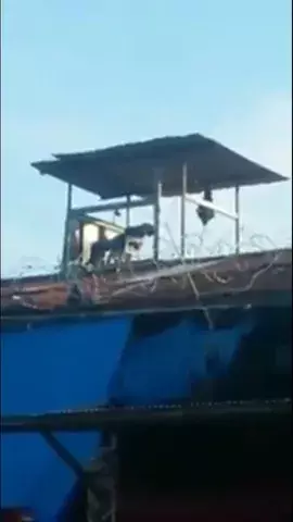 Policía dormido es grabado por reos de la cárcel de David 