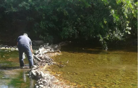 Río Parita enfrenta crítica situación por bajo caudal