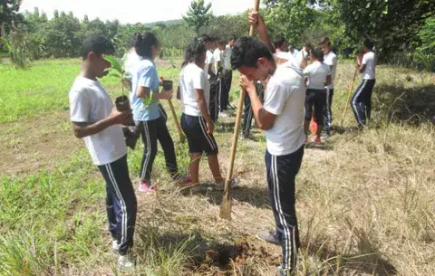 Docentes y estudiantes de escuela en Olá siembran 250 plantones