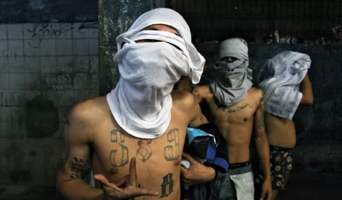 Inseguridad en el país no debe combatirse con  improvisación