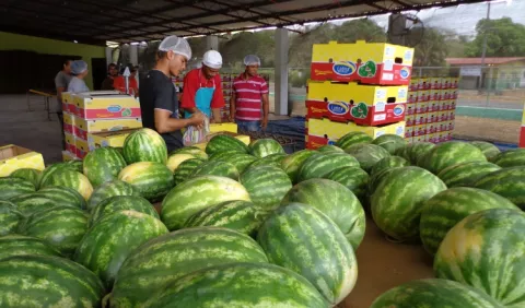 Comercio exterior del país, el peor de Centroamérica