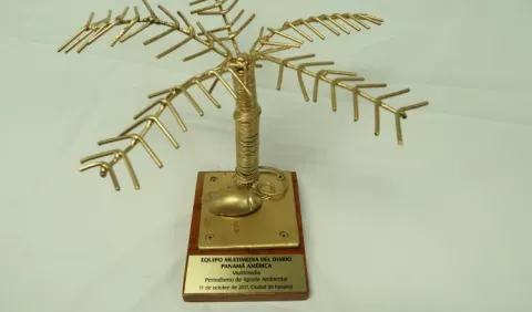 Panamá América obtiene Premio Palma de Oro en categoría multimedia