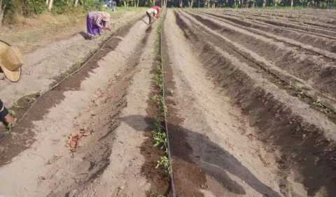 Productores, en peligro: crisis en sistema de riego